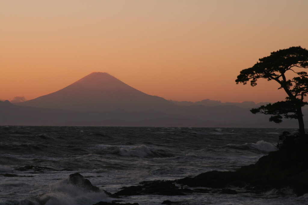 神奈川県横須賀市・立石公園からの夕景。赤く染まる空を背景に、富士山のシルエットと荒波の海、そして松の木が美しいコントラストを描く。