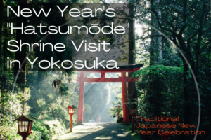 A torii gate in the midst of the forest. The sunlight streams through, creating a beautiful landscape.